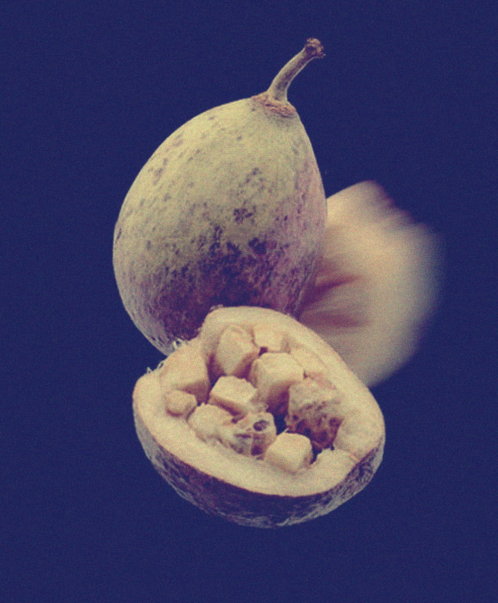 Baobab