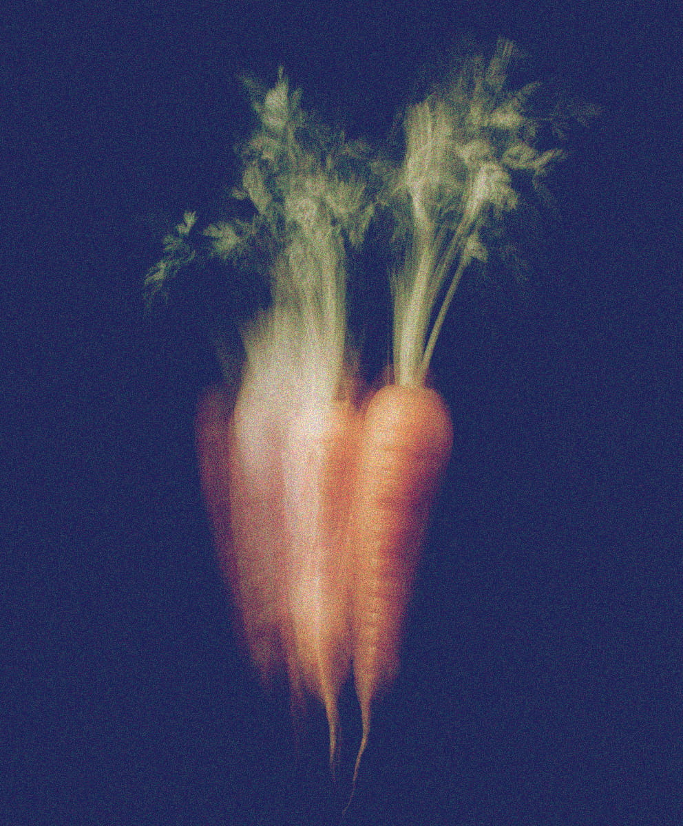 Carrot Oil