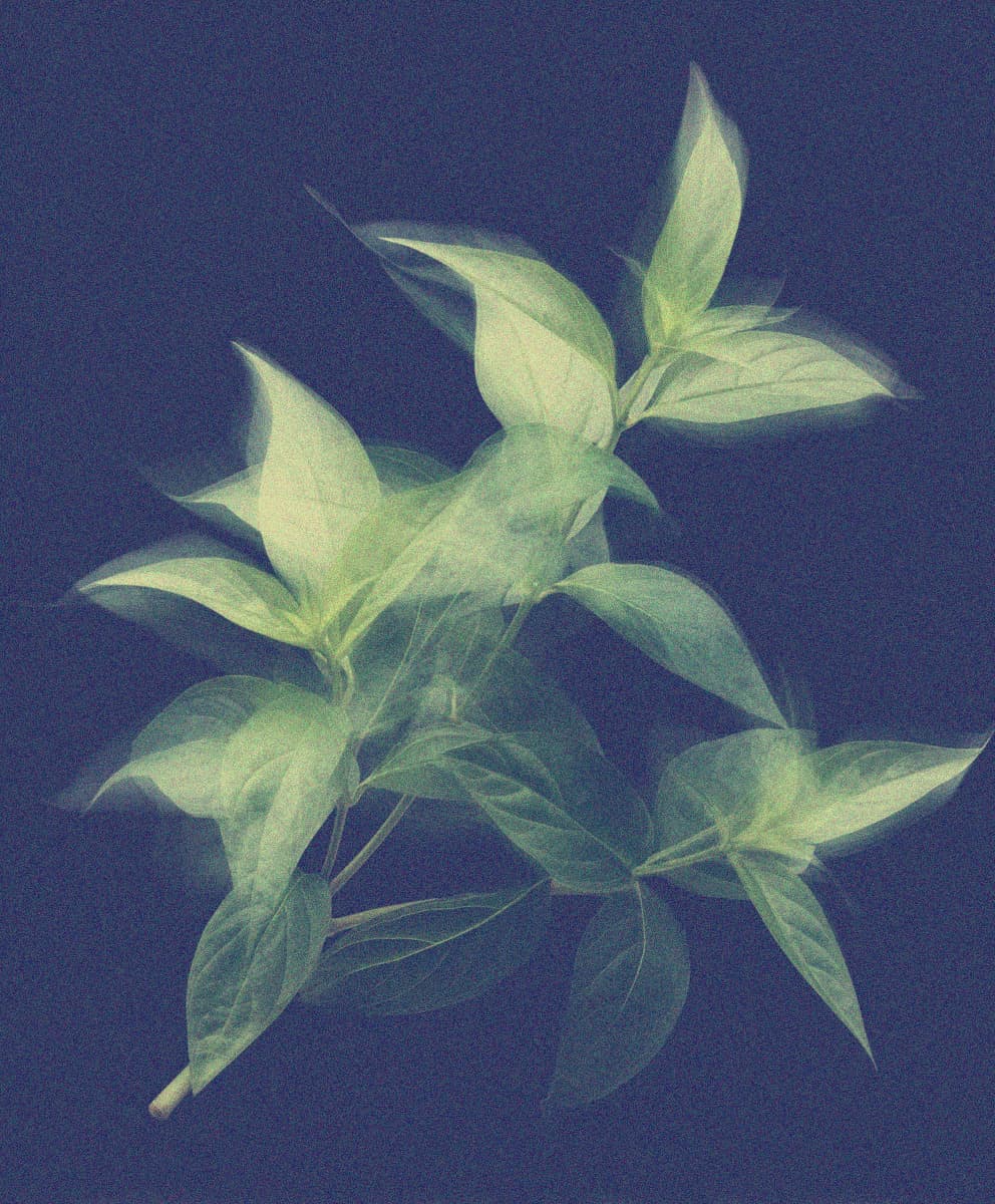 CIRCALYS®