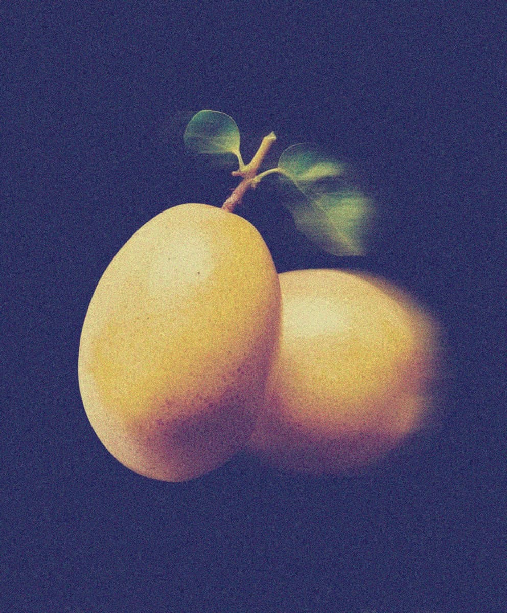 Marula Oil