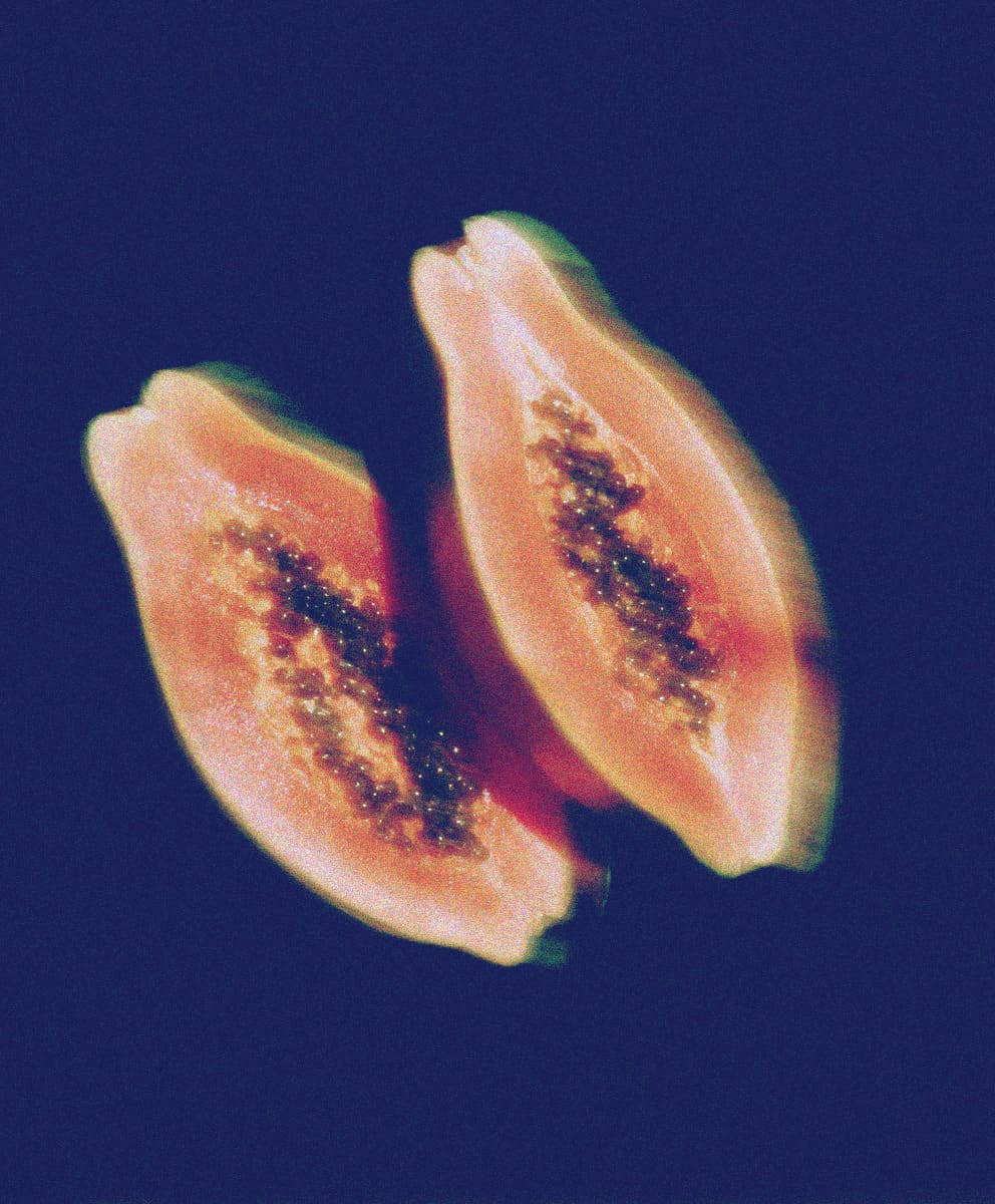Papaya Extract