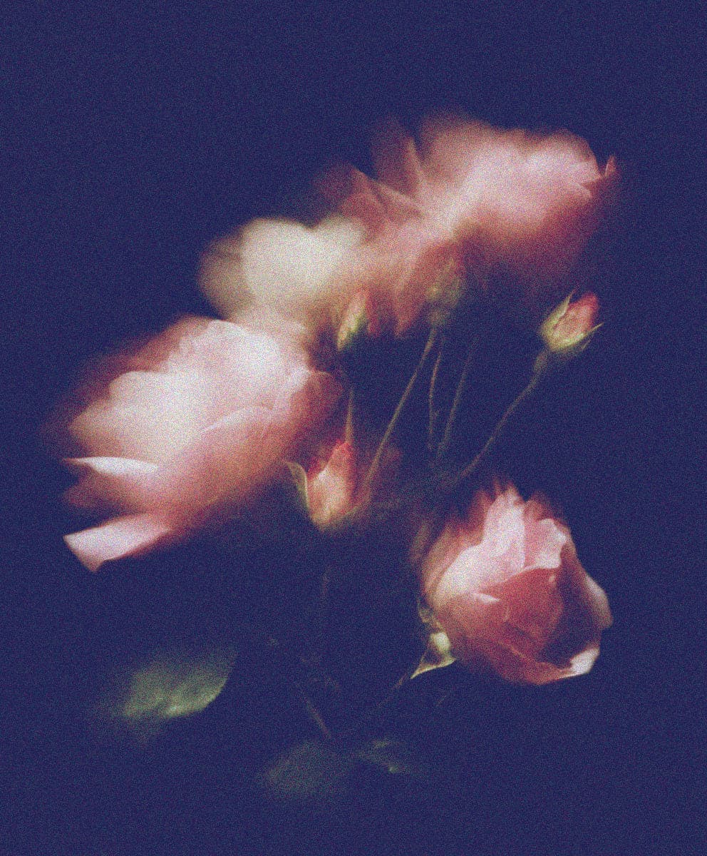Rosa Damascena Flower Water