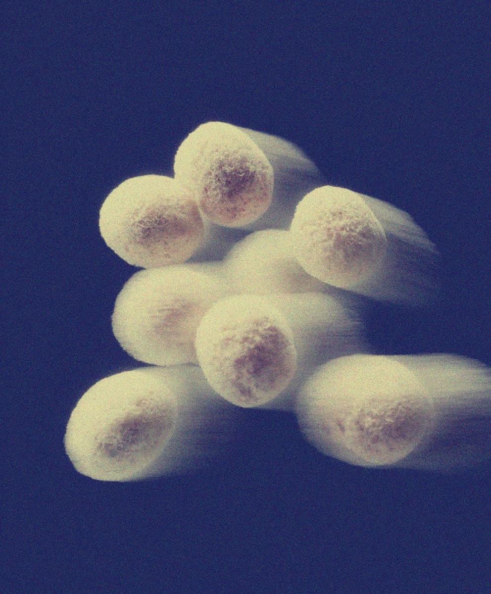 Hydrolyzed Silk
